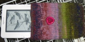 kindle sleeve 2