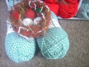 Woolly Nest and Eggs