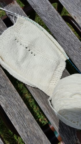 shepherds wool superwash swatch